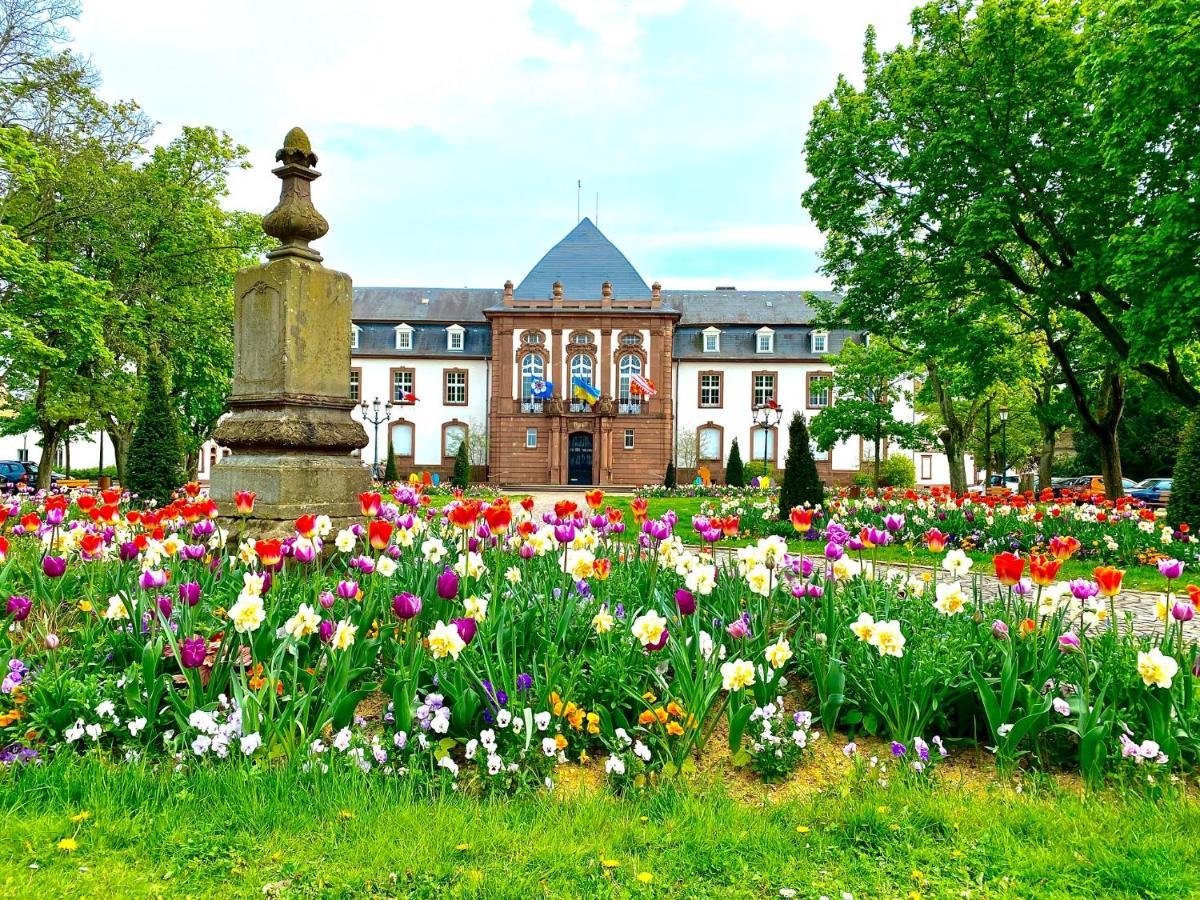 Charmant studio à Haguenau, à 25mn de Strasbourg Extérieur photo